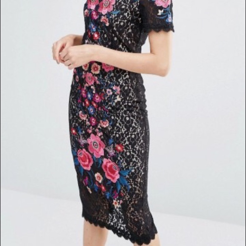 Oasis Embroidered Lace Pencil Dress